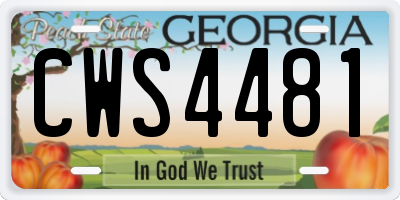 GA license plate CWS4481