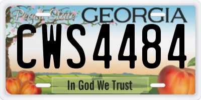 GA license plate CWS4484