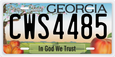 GA license plate CWS4485