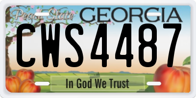 GA license plate CWS4487