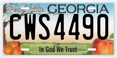 GA license plate CWS4490