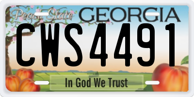 GA license plate CWS4491