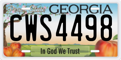 GA license plate CWS4498