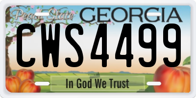 GA license plate CWS4499
