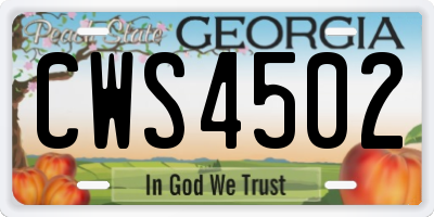 GA license plate CWS4502