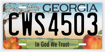 GA license plate CWS4503