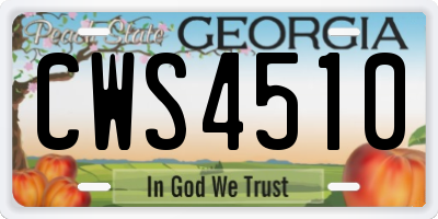GA license plate CWS4510