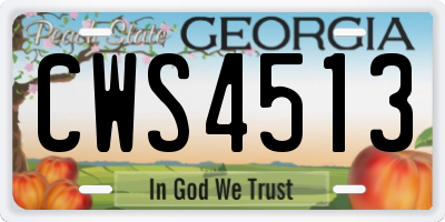 GA license plate CWS4513