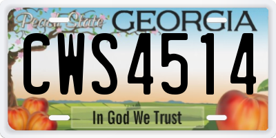 GA license plate CWS4514