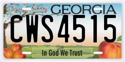 GA license plate CWS4515