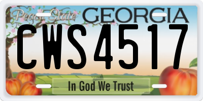 GA license plate CWS4517