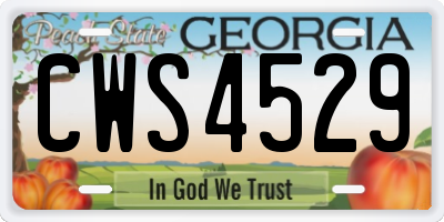 GA license plate CWS4529