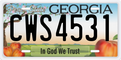 GA license plate CWS4531