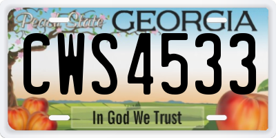 GA license plate CWS4533