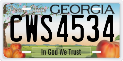 GA license plate CWS4534