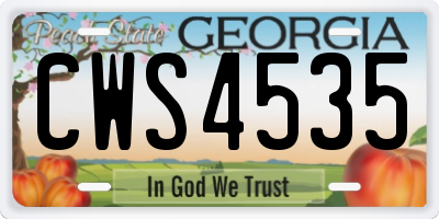 GA license plate CWS4535