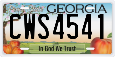 GA license plate CWS4541
