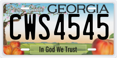 GA license plate CWS4545