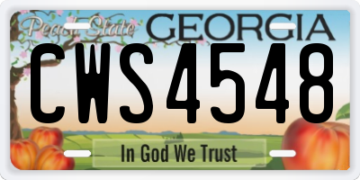 GA license plate CWS4548