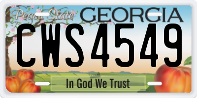 GA license plate CWS4549