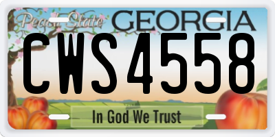 GA license plate CWS4558