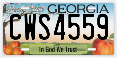 GA license plate CWS4559