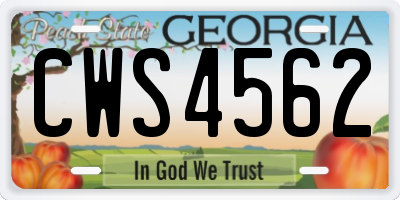 GA license plate CWS4562