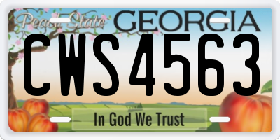 GA license plate CWS4563