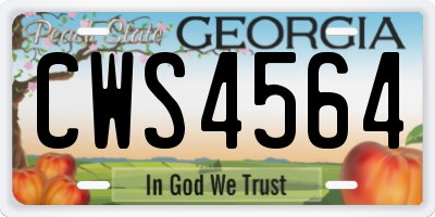 GA license plate CWS4564