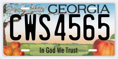 GA license plate CWS4565