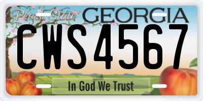 GA license plate CWS4567