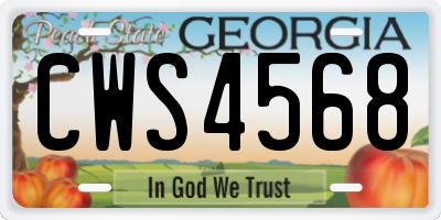 GA license plate CWS4568