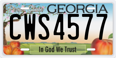 GA license plate CWS4577