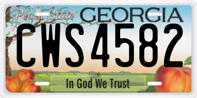 GA license plate CWS4582