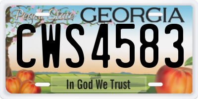 GA license plate CWS4583