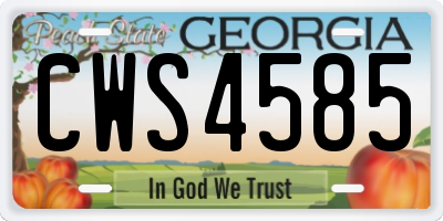 GA license plate CWS4585