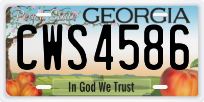 GA license plate CWS4586