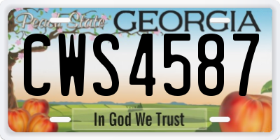 GA license plate CWS4587