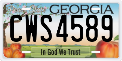 GA license plate CWS4589