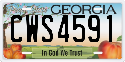 GA license plate CWS4591