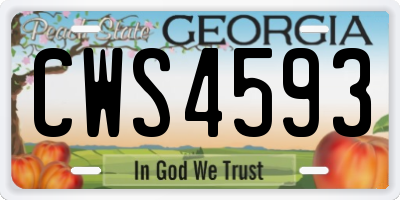 GA license plate CWS4593
