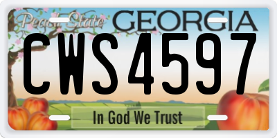 GA license plate CWS4597