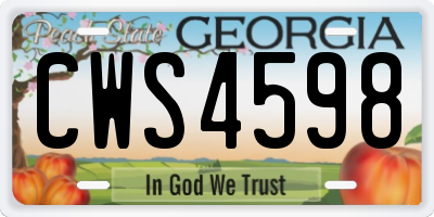 GA license plate CWS4598