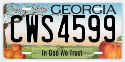 GA license plate CWS4599