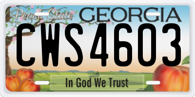 GA license plate CWS4603