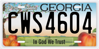 GA license plate CWS4604