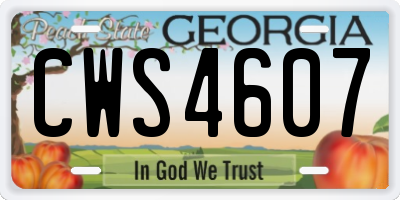 GA license plate CWS4607