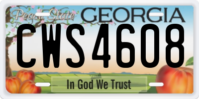GA license plate CWS4608