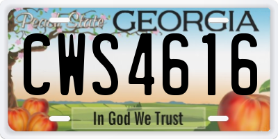 GA license plate CWS4616