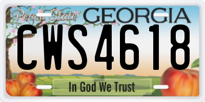 GA license plate CWS4618